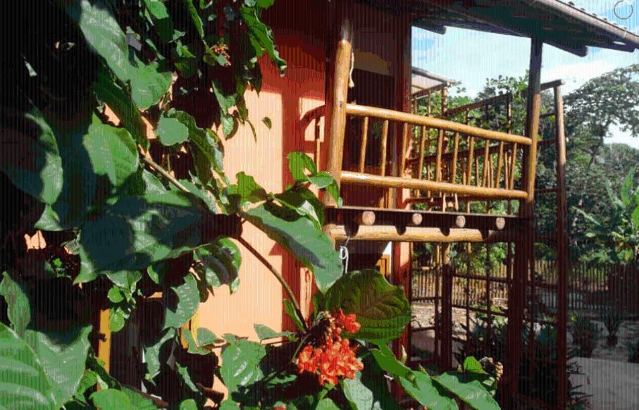 Concha Tropical Flat Apartment Itacaré Екстериор снимка